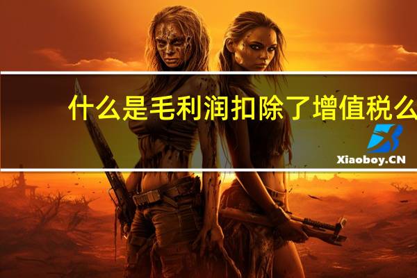什么是毛利润扣除了增值税么（什么是毛利润）