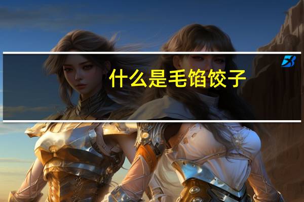 什么是毛馅饺子