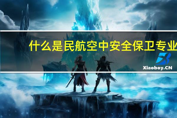 什么是民航空中安全保卫专业