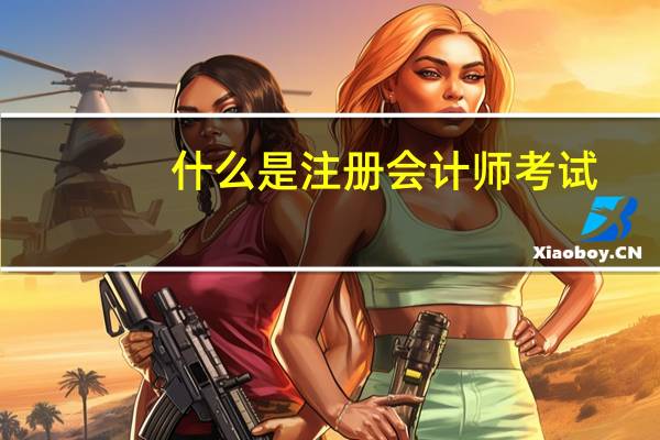 什么是注册会计师考试