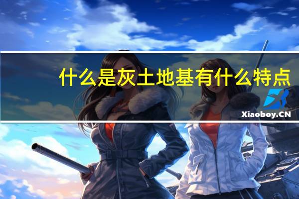 什么是灰土地基有什么特点（什么是灰土地基）