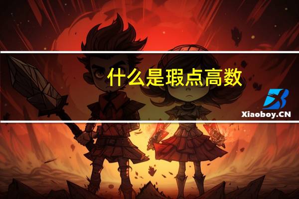 什么是瑕点高数
