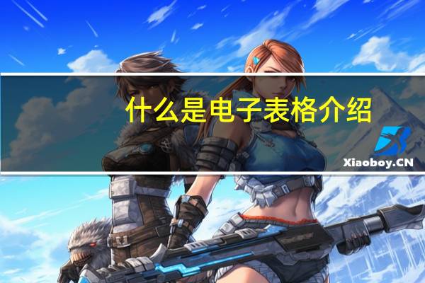 什么是电子表格介绍