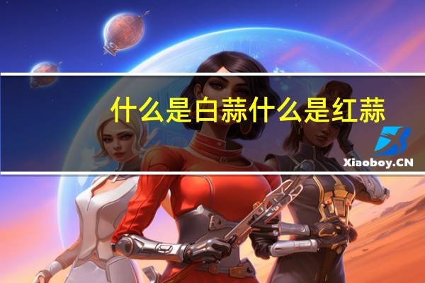 什么是白蒜什么是红蒜