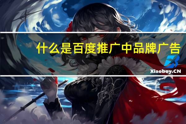 什么是百度推广中品牌广告（什么是百度推广）