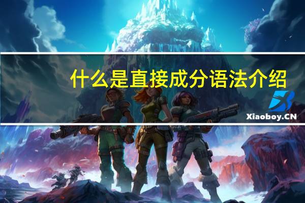 什么是直接成分语法介绍