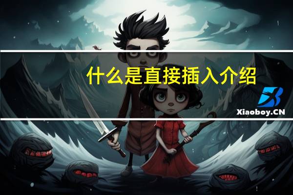 什么是直接插入介绍