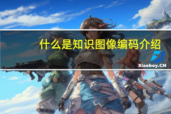 什么是知识图像编码介绍