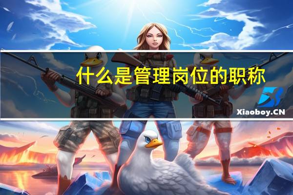 什么是管理岗位的职称