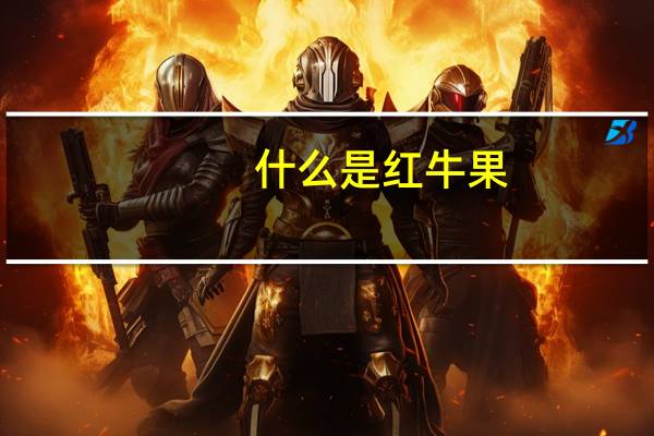 什么是红牛果