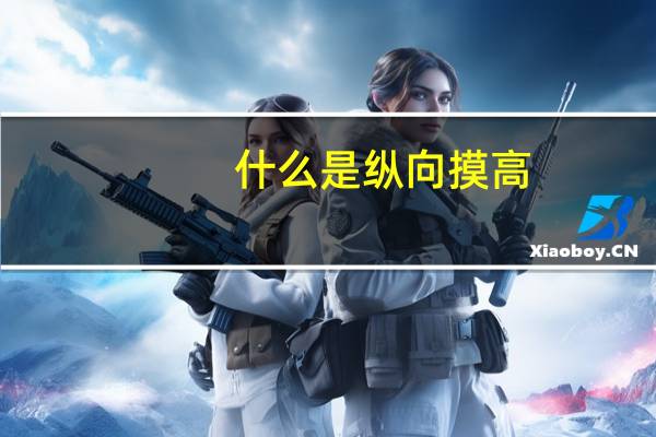 什么是纵向摸高