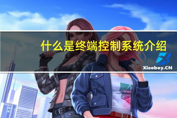 什么是终端控制系统介绍