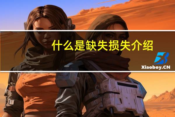 什么是缺失损失介绍