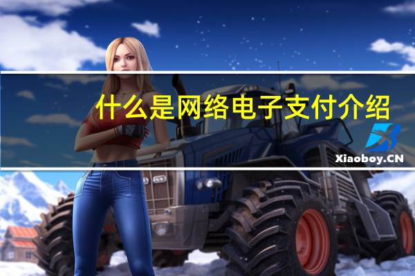 什么是网络电子支付介绍