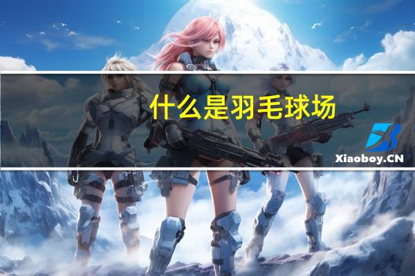 什么是羽毛球场