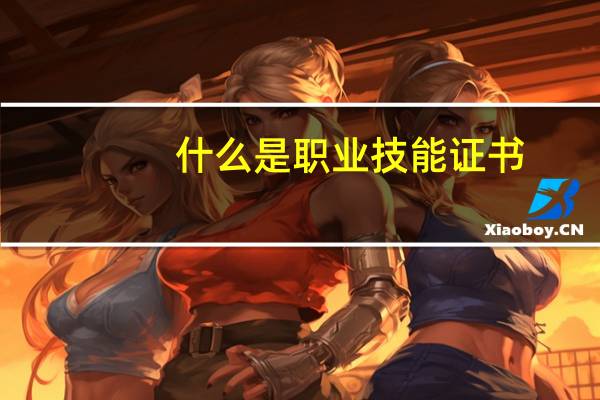 什么是职业技能证书