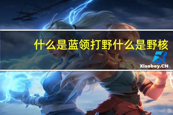什么是蓝领打野什么是野核（什么是蓝领）