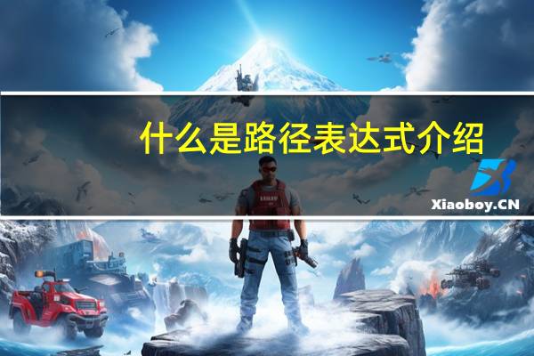 什么是路径表达式介绍