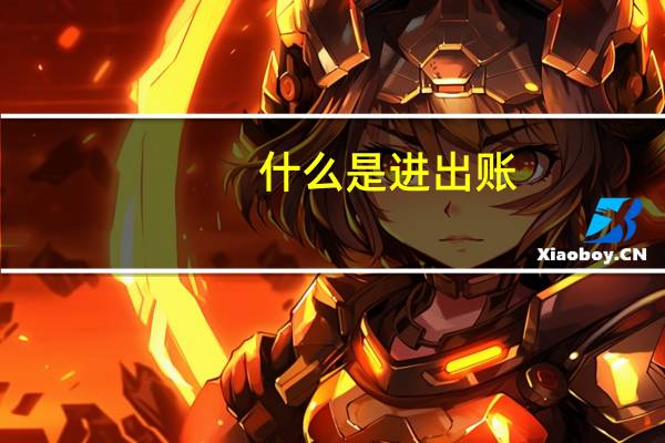 什么是进出账