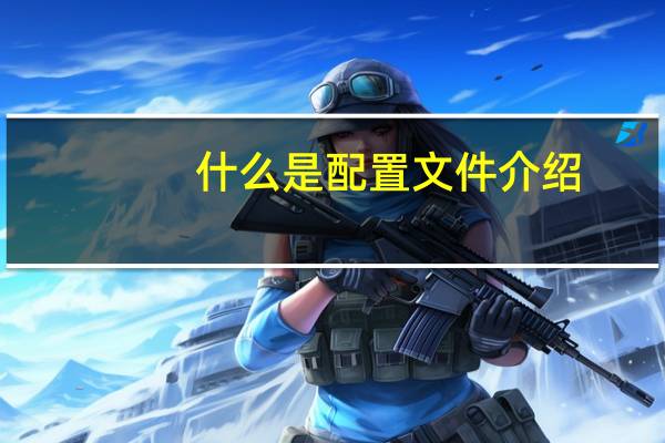 什么是配置文件介绍