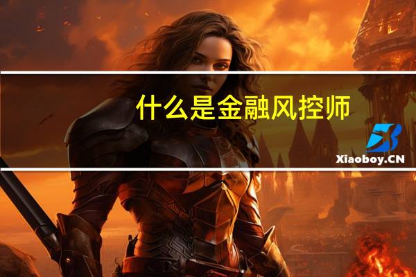 什么是金融风控师