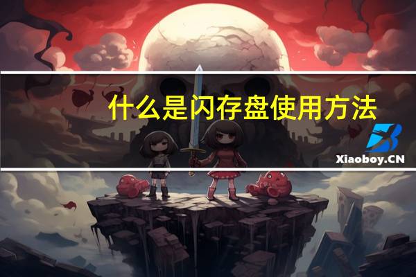 什么是闪存盘使用方法（什么是闪存盘）