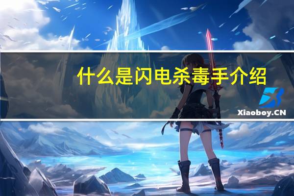 什么是闪电杀毒手介绍