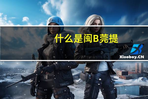 什么是闽B莞提