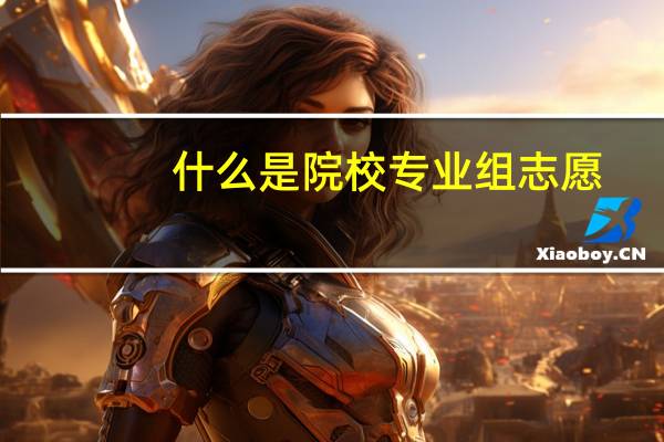 什么是院校专业组志愿
