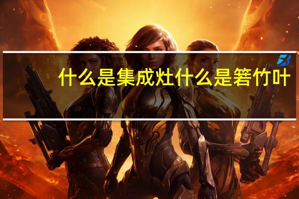 什么是集成灶 什么是箬竹叶
