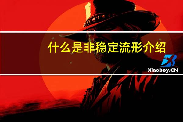 什么是非稳定流形介绍