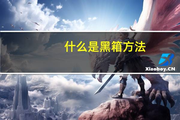 什么是黑箱方法