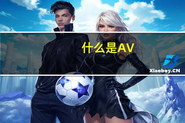什么是AV？