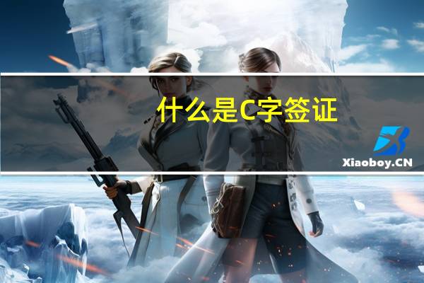 什么是C字签证