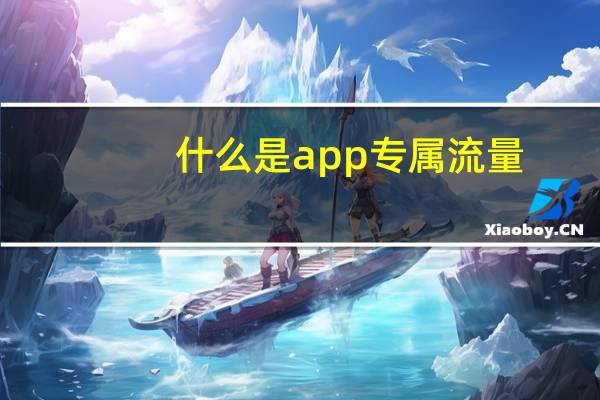 什么是app专属流量（什么是app）