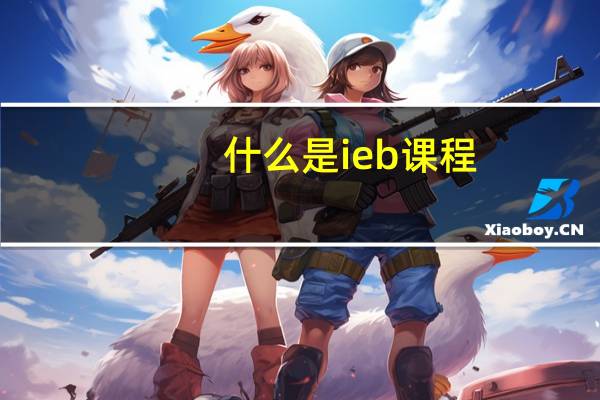 什么是ieb课程（什么是IE）