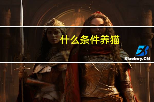 什么条件养猫