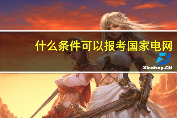 什么条件可以报考国家电网