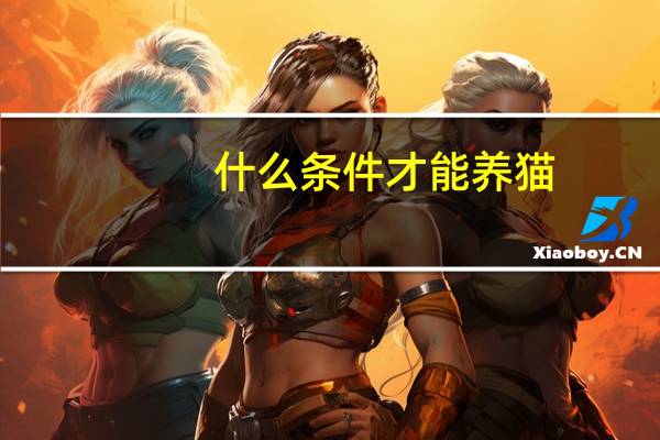什么条件才能养猫