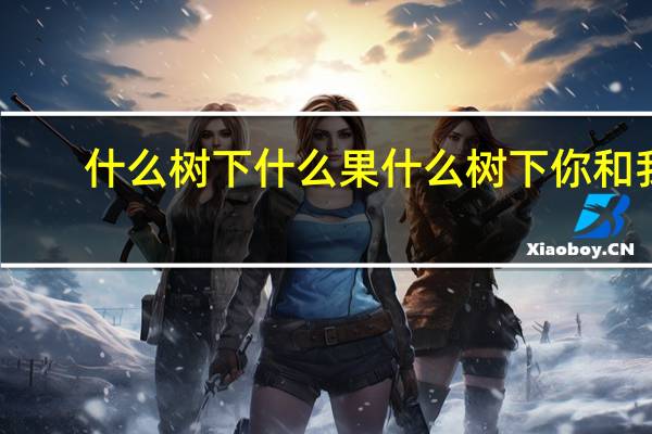 什么树下什么果什么树下你和我（懵逼树上懵逼果 懵逼树下你和我什么意思）