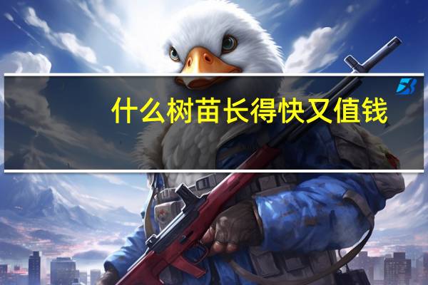 什么树苗长得快又值钱