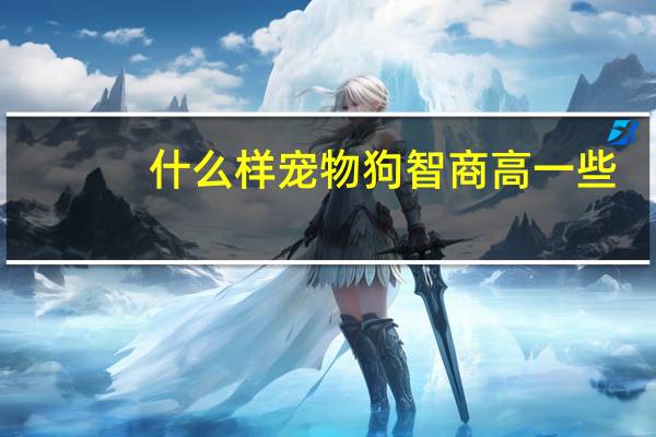 什么样宠物狗智商高一些