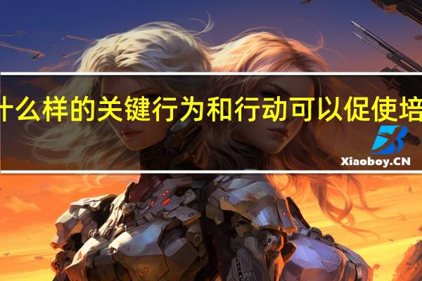 什么样的关键行为和行动可以促使培训成功