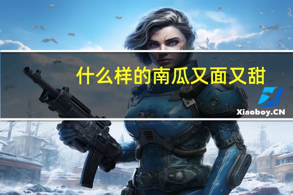 什么样的南瓜又面又甜