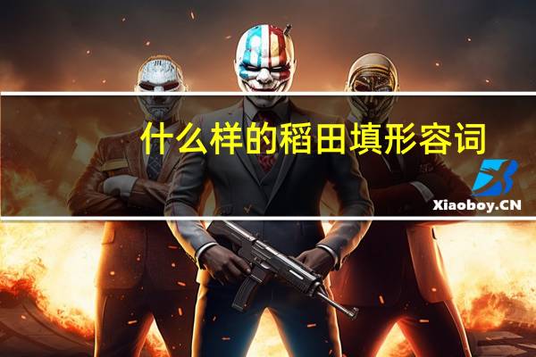 什么样的稻田填形容词