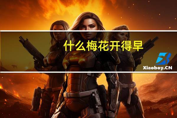 什么梅花开得早