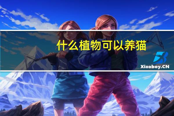 什么植物可以养猫