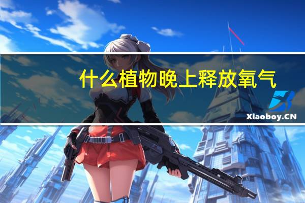 什么植物晚上释放氧气