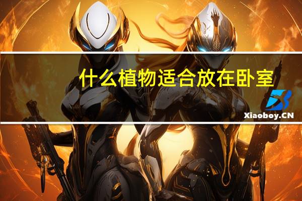 什么植物适合放在卧室