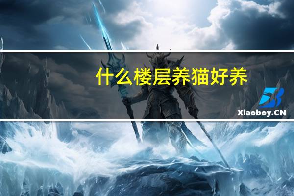 什么楼层养猫好养